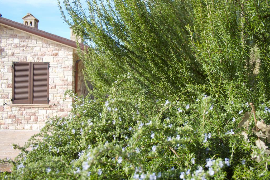 B&B Lavanda E Rosmarino Assisi Eksteriør bilde