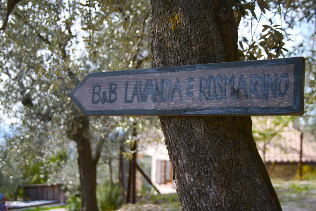 B&B Lavanda E Rosmarino Assisi Eksteriør bilde