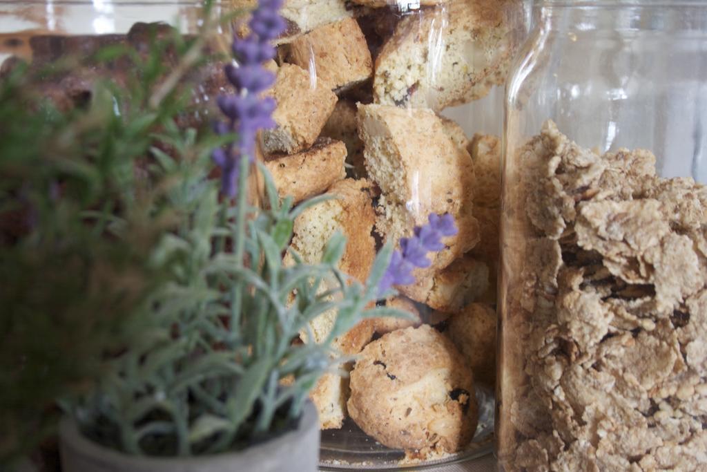 B&B Lavanda E Rosmarino Assisi Eksteriør bilde