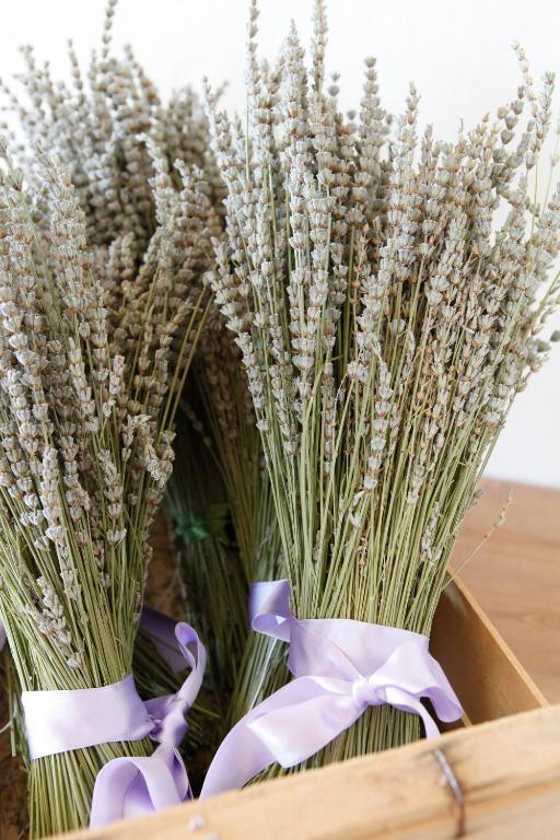 B&B Lavanda E Rosmarino Assisi Eksteriør bilde