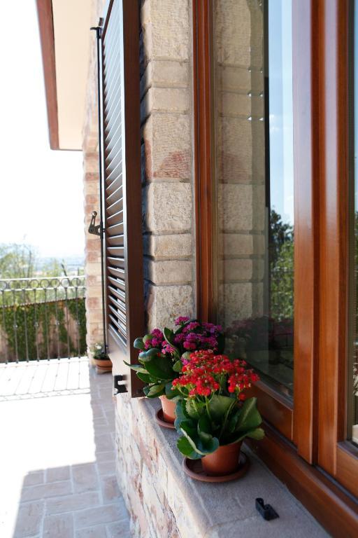 B&B Lavanda E Rosmarino Assisi Eksteriør bilde