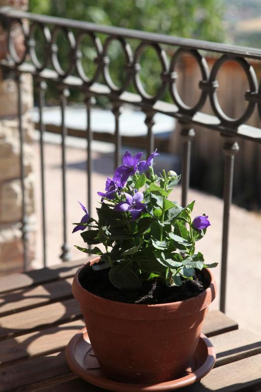 B&B Lavanda E Rosmarino Assisi Eksteriør bilde