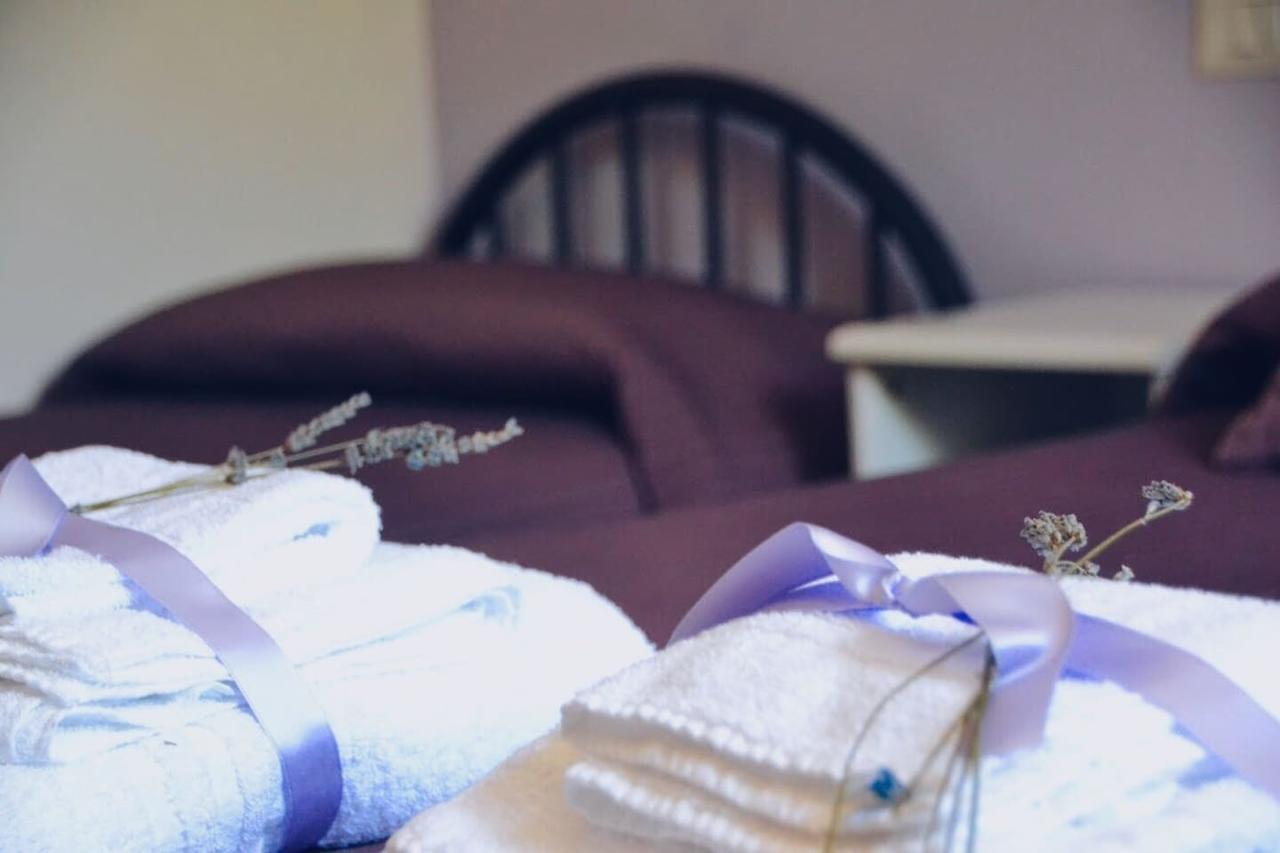 B&B Lavanda E Rosmarino Assisi Eksteriør bilde