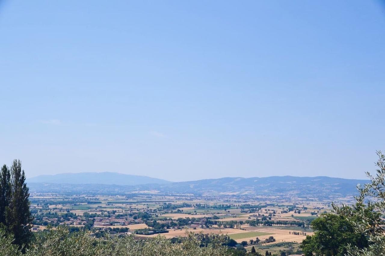 B&B Lavanda E Rosmarino Assisi Eksteriør bilde